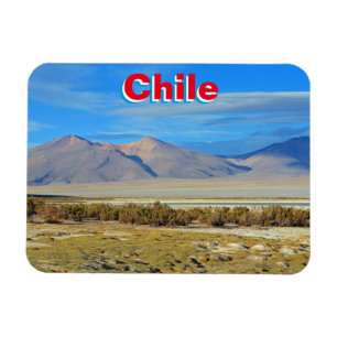 Salar del Huasco, Chile Magnet
