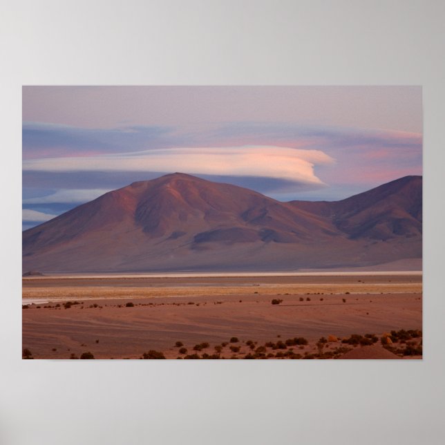 Salar del Huasco, Chile Poster (Vorne)
