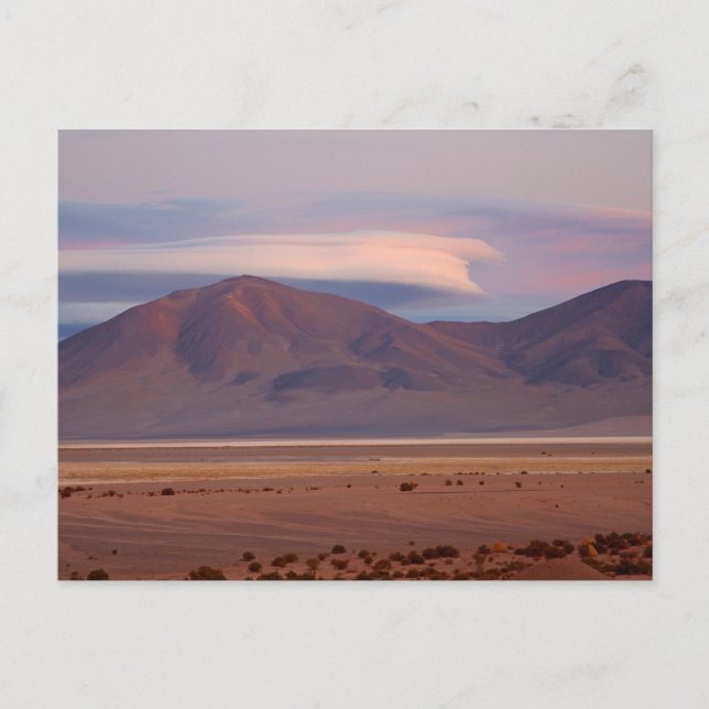 Salar del Huasco, Chile Postkarte (Vorderseite)