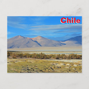 Salar del Huasco, Chile Postkarte