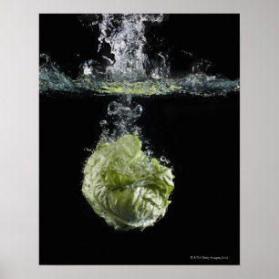Salat im Wasser Poster