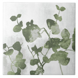 Salbei Olivgrüne Malerische Botanische Kunst 01 Fliese