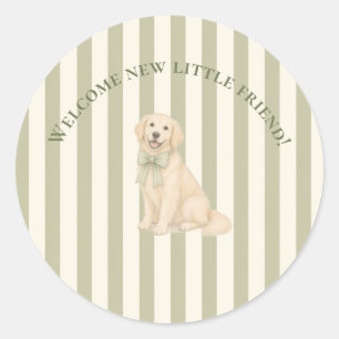 Salbeigrüner Golden Retriever Baby Shower Runder Aufkleber