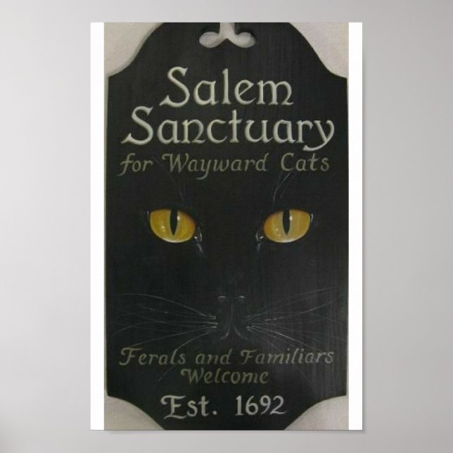 Salem Sanctuary Poster (Vorne)