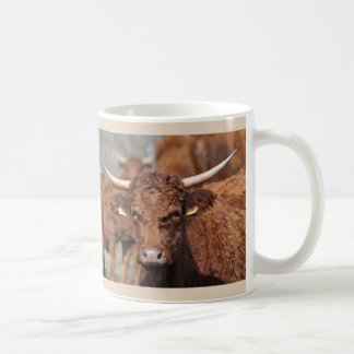 Salers Kuh-Tasse Tasse