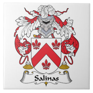 Saline-Familienwappen Fliese