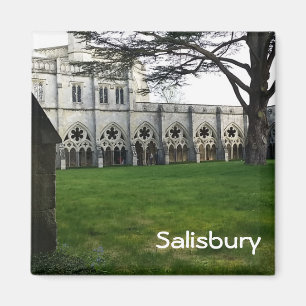 Salisbury Magnet