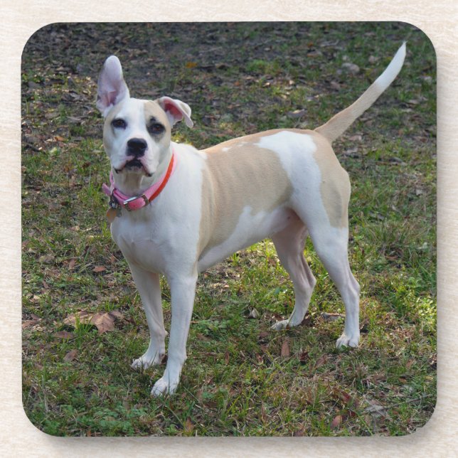Sally - Ein geretteter Hund Untersetzer (Vorderseite)