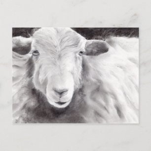 Sally the Sheep (a363) Postkarte