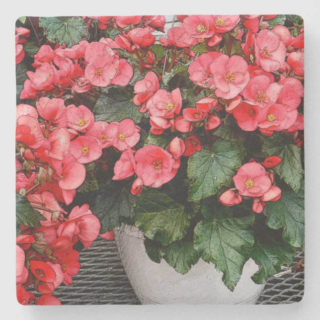 SALMON-PINK-IMPATIENS IN WEISSER POT STEINUNTERSETZER (Vorderseite)