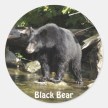 "Salmon Spotting" Schwarzbären-Aufkleber für Wildt
