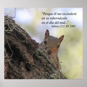 Salmos 27-5 Betrug Ardilla Poster