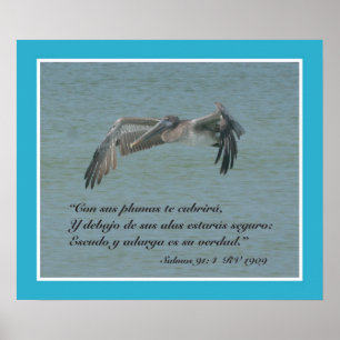 Salmos 91:4 con Pelicano Volando (Kartell) Poster