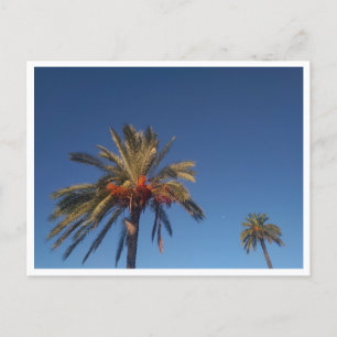 Salobrena (Spanien) Postkarte