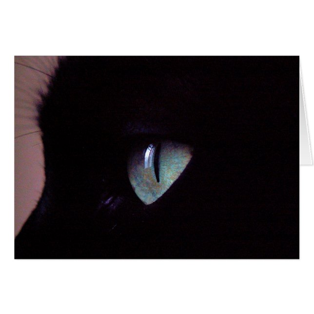 Salsa-SuperZen (Vorderseite (Horizontal))