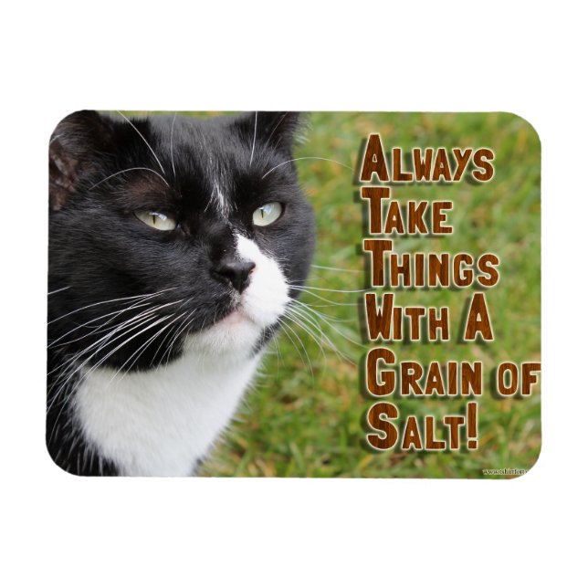 Salt Grain Motivation Kat Förderung Zitat Magnet (Horizontal)