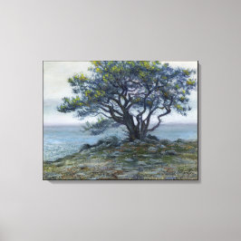 ‚Salt Point Tree‘ Leinwanddruck