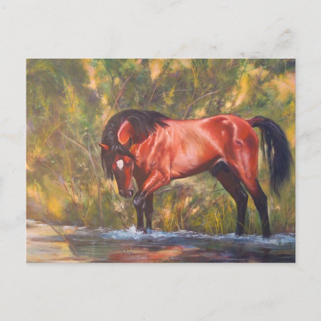 Salt River Wild Stallion Tango Postkarte (Vorderseite)