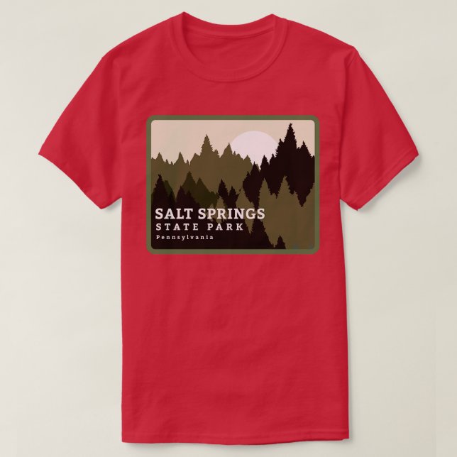 Salt Springs Staaten Park Pennsylvania Forest Sunr T-Shirt (Design vorne)