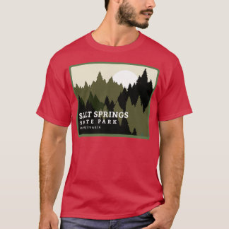 Salt Springs Staaten Park Pennsylvania Forest Sunr T-Shirt