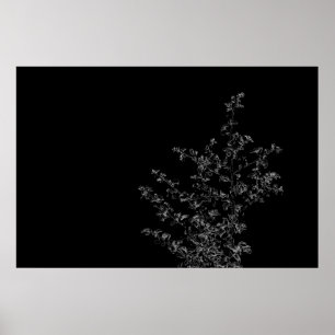 Saltbush Atriplex Leaf Natur Minimalistisches Post Poster