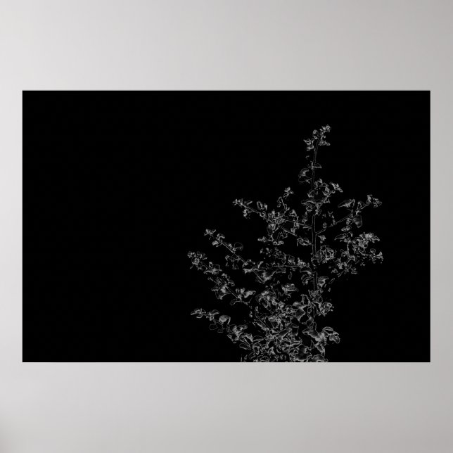 Saltbush Atriplex Leaf Natur Minimalistisches Post Poster (Vorne)