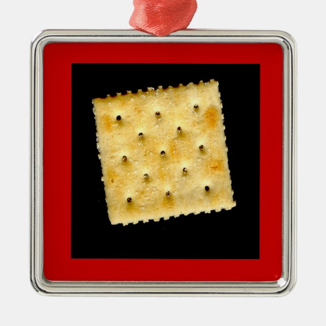 Saltine Silbernes Ornament (Vorne)
