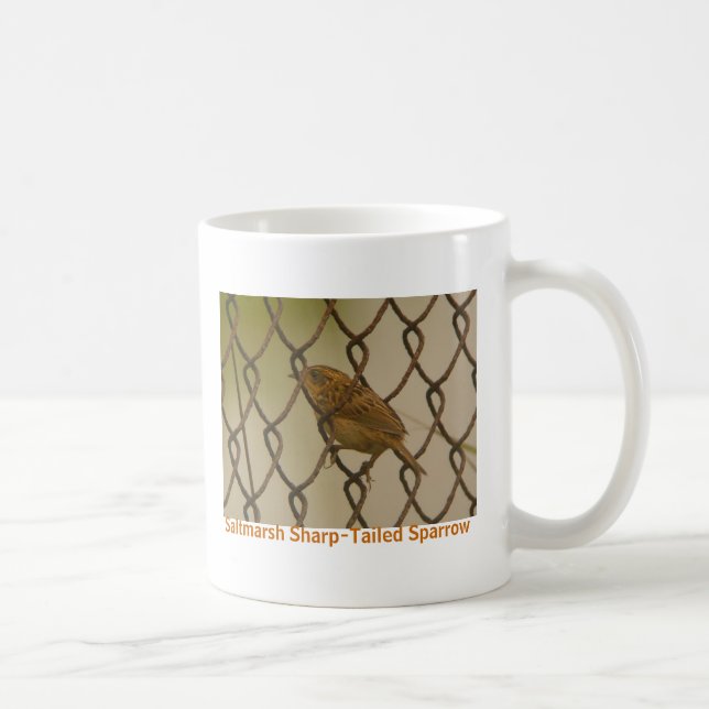 Saltmarsh Scharf-Band Spatzenzaun 2, Birdwat… an Kaffeetasse (Rechts)