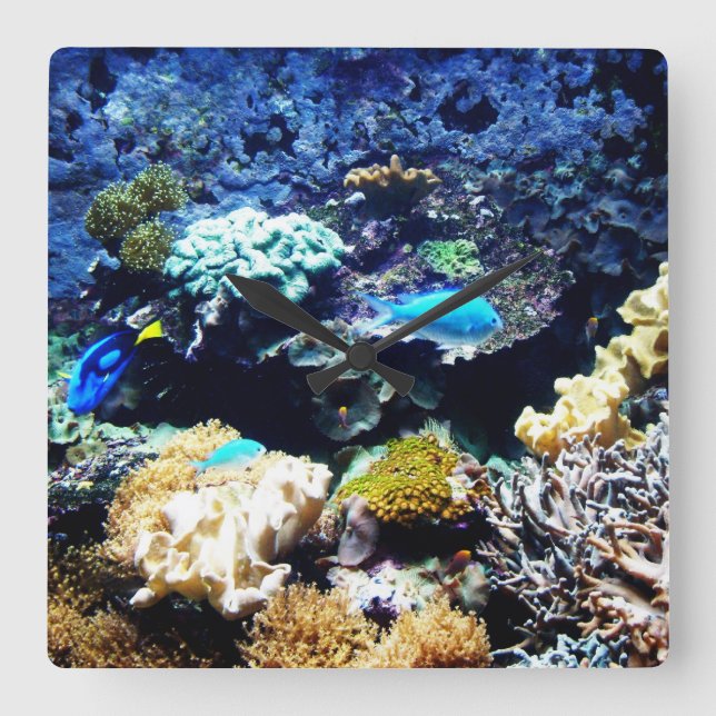 Saltwater aquarium Uhr Square (Vorderseite)