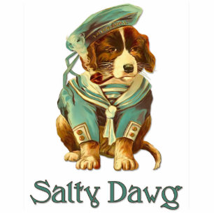 Salty Dawg Fotoskulptur Schlüsselanhänger