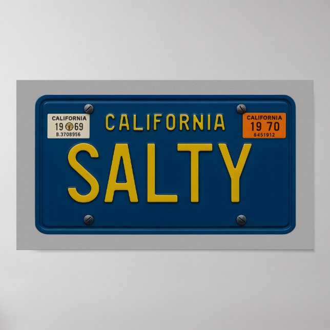 Salty - Retro 1969 California License Plate Art Poster (Vorne)