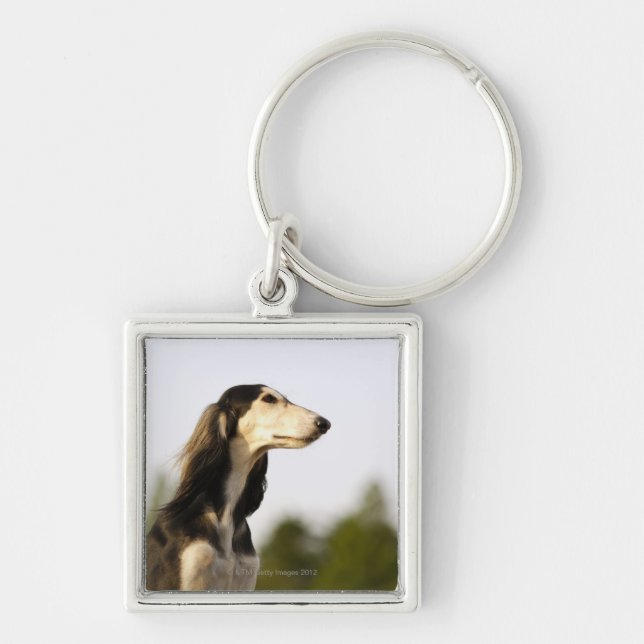 Saluki 2 schlüsselanhänger (Vorne)