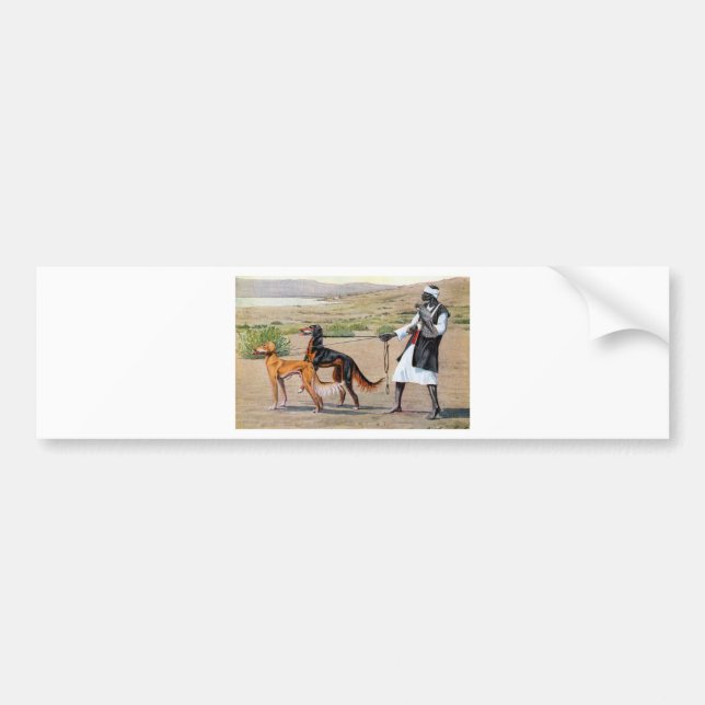 saluki autoaufkleber (Vorne)