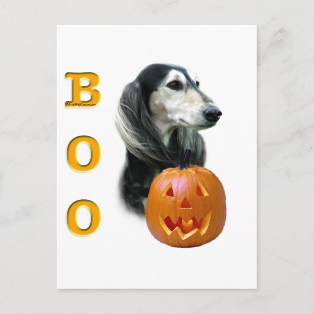 Saluki Boo Postkarte (Vorderseite)