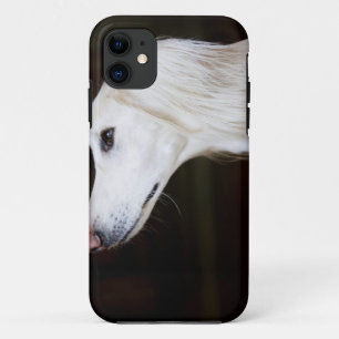 Saluki, das oben schaut Case-Mate iPhone hülle