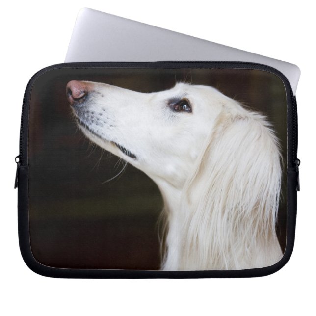 Saluki, das oben schaut laptopschutzhülle (Vorderseite)