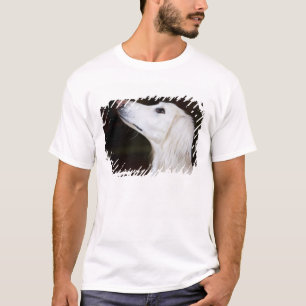 Saluki, das oben schaut T-Shirt