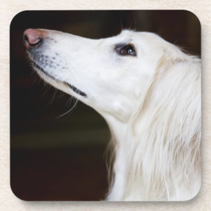 Saluki, das oben schaut untersetzer