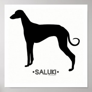 Saluki Druck Poster