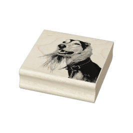 Saluki Gummistempel