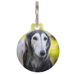 Saluki Hund Haustiermarke