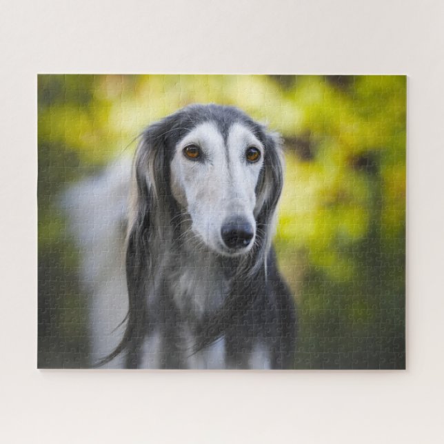 Saluki-Hunde-Puzzles. Puzzle (Horizontal)