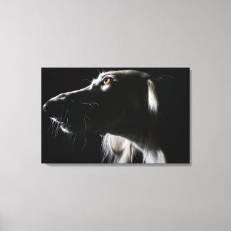 Saluki, Portrait Leinwanddruck