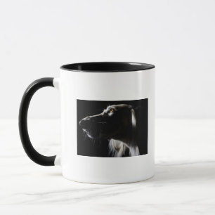Saluki, Porträt Tasse