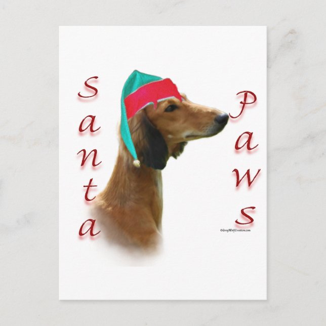Saluki Santa Paws Feiertagspostkarte (Vorderseite)