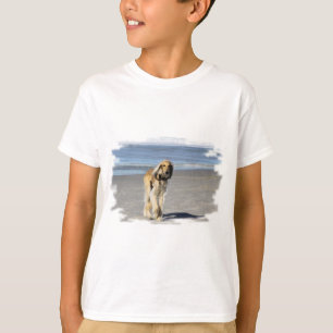 Saluki Stroll auf dem Strand T-Shirt