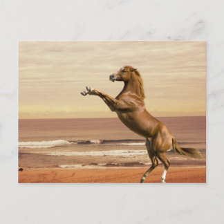 Salute zum Morgen Postkarte