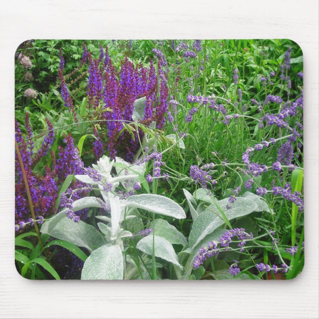 Salvia, Lämmer Ohr und Lavendel Mousepad (Vorne)