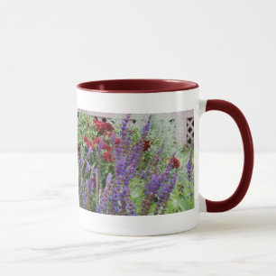 Salvia und Mums 2x Bilder Tasse