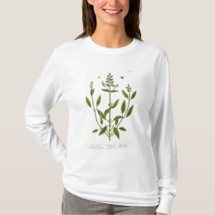 Salviam von "einem neugierigen Kräuter", 1782 T-Shirt